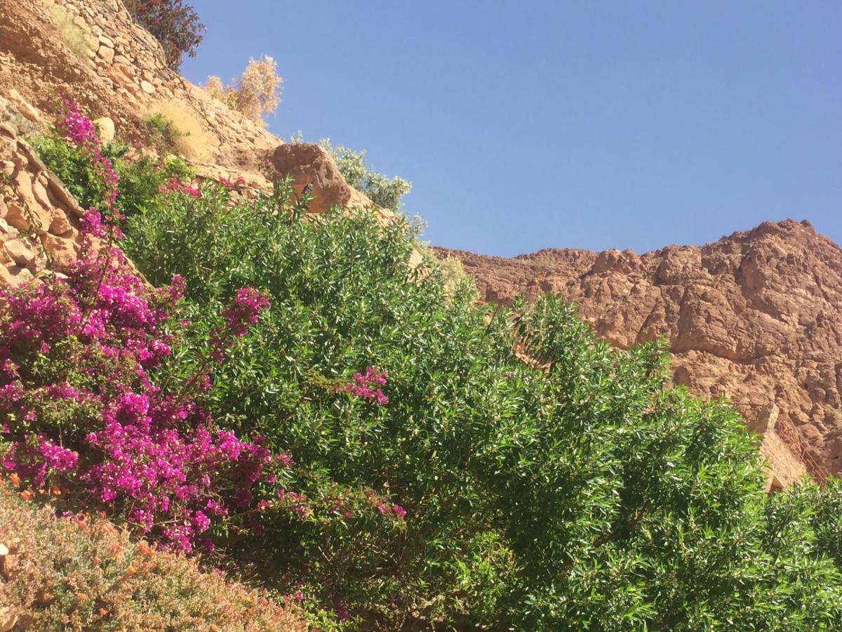 Auberge Le Festival Todra Gorge Aït Baha Exterior foto
