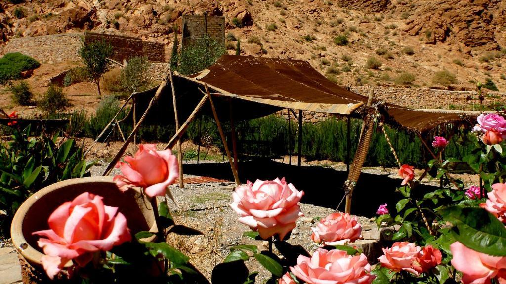Auberge Le Festival Todra Gorge Aït Baha Exterior foto